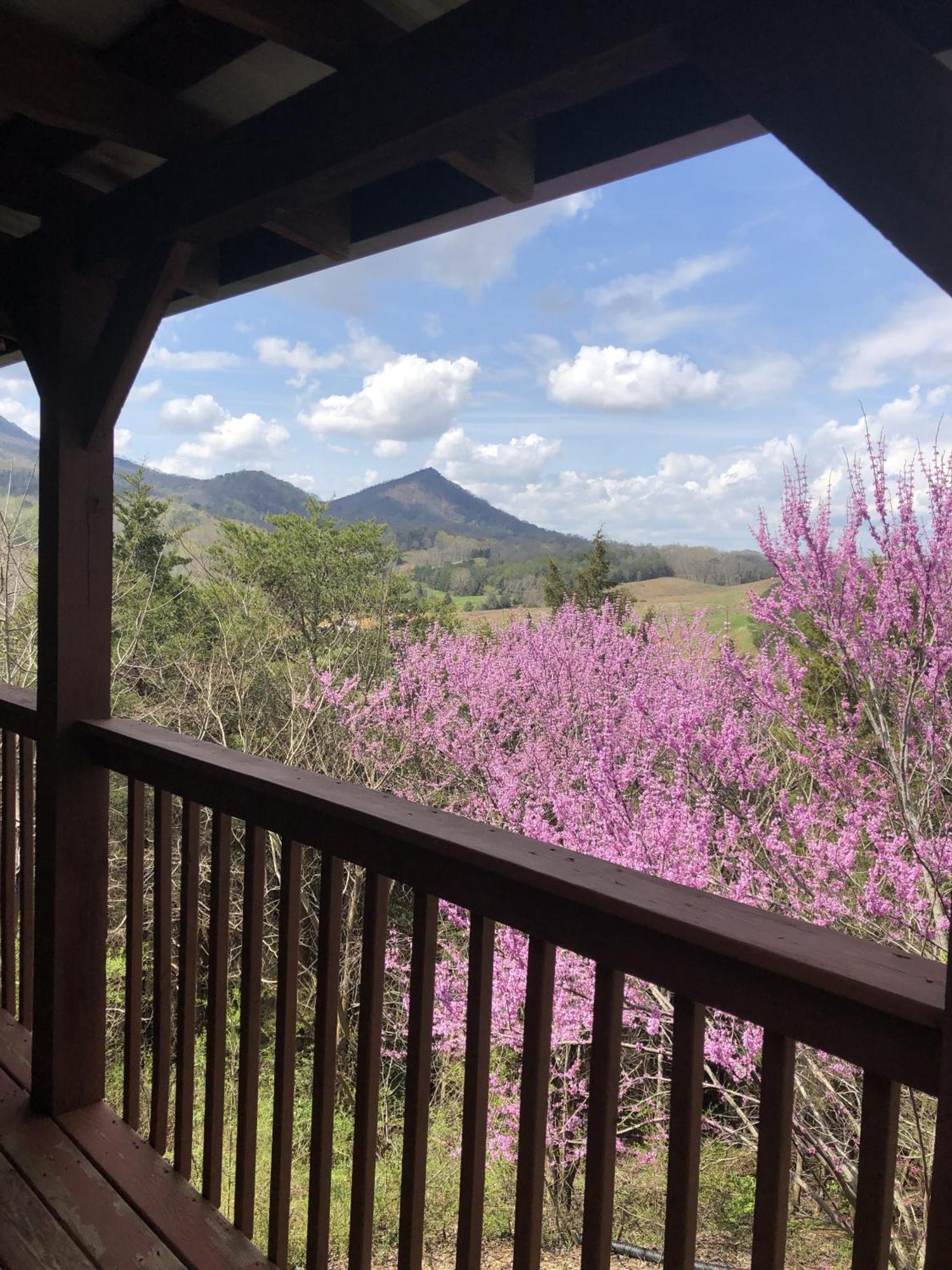 Bear Country Cabin Sevierville Bagian luar foto